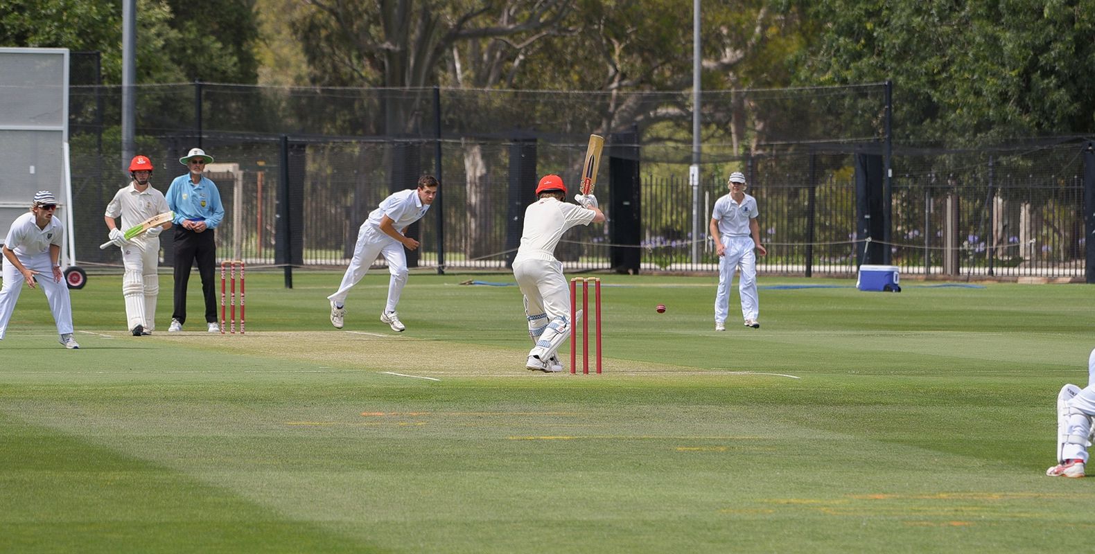 Intercol Cricket Banner EDIT