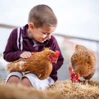Early Learning Centre - Prince Alfred College