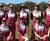 Intercol Cricket Banner Image