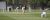 Intercol Cricket Banner 2