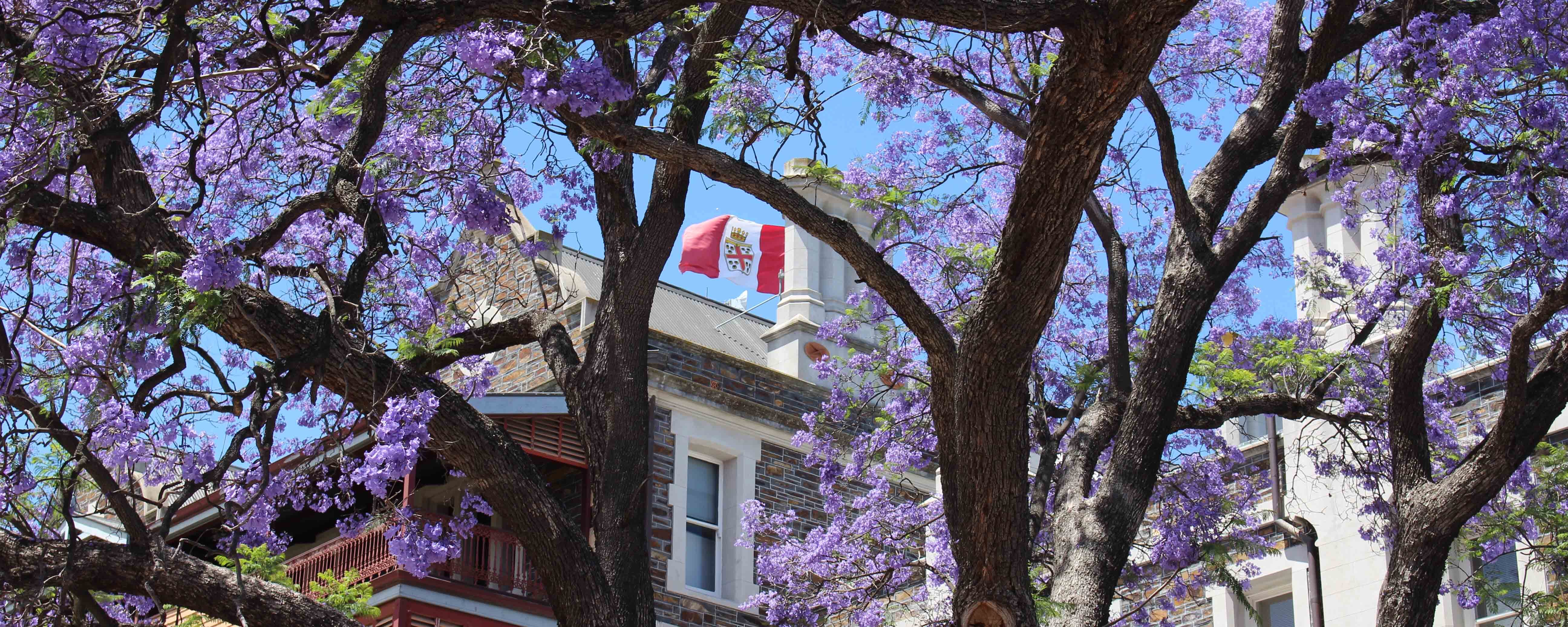 Request Information - Prince Alfred College